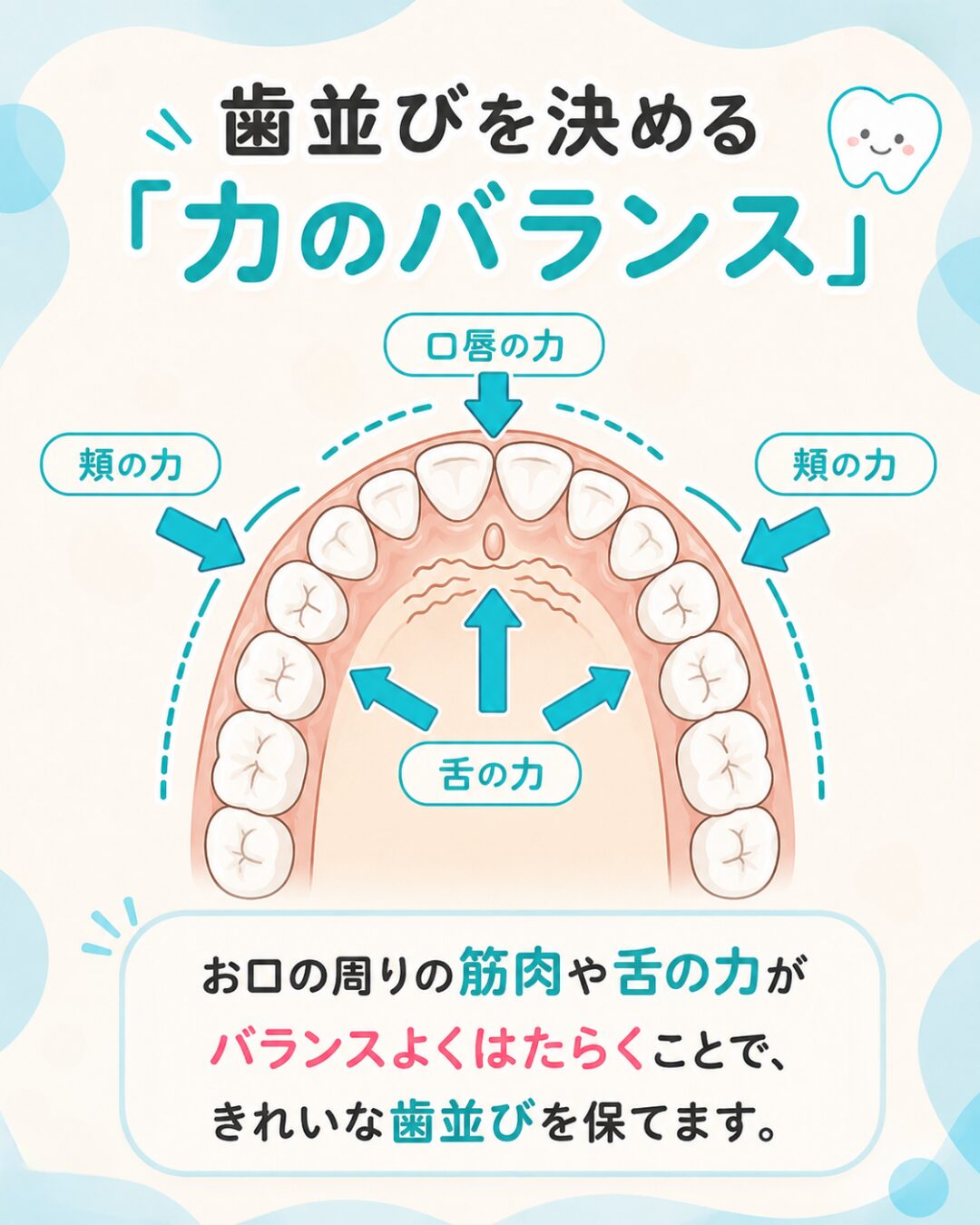 歯並びを決める唇・頬・舌の力のバランス